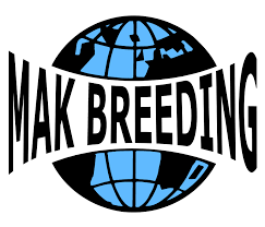 Mak Breeding